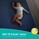 Fralda Pampers Confort Sec G 38 unidades