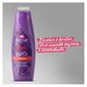 Shampoo Aussie Miracle Curls 360ml