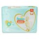 Fralda Pampers Pants Premium Care Tamanho M 34 unidades