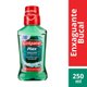 Enxaguante Bucal Colgate Plax Fresh Mint 250mL