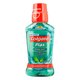 Enxaguante Bucal Colgate Plax Fresh Mint 250mL