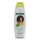 Shampoo Palmolive Naturals Cachos Control 350ml