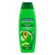 Shampoo Palmolive Naturals Antiarmado 350ml