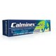 CALMINEX GEL ATLETA 20 G x 1