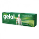 Gelol Gel Analgésico Tópico Pomada 20g