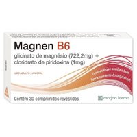 Magnen B6 722,2mg + 1mg 30 comprimidos revestidos